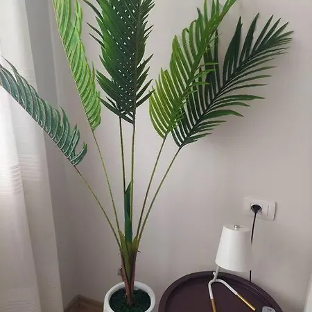 The Dekori Flat *